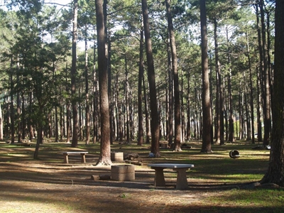 Tokai forest murder: 3 suspects questioned