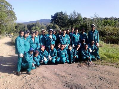 Forestry company gives skills