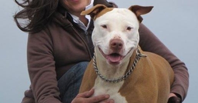Police say dog was shot in self-defense