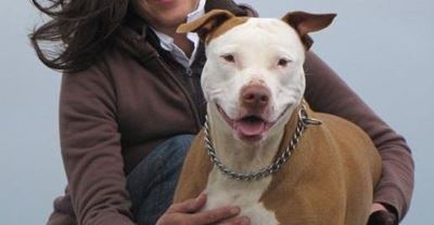 Update: Dog shot and killed by police