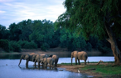 Italian pair shot dead on anti-poaching patrol