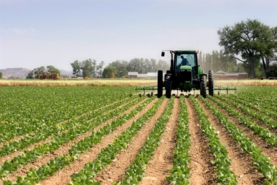 Agriculture, Forestry and Fisheries on Abalobi Initiative