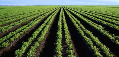 KZN agri-parks development on the go