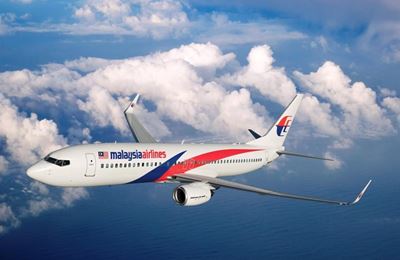 Piece of Air Malaysia plane found in Wilderness?