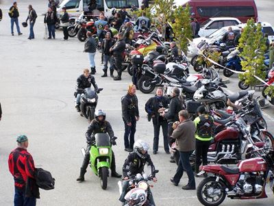 Whale Rally in June
