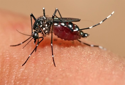 Vietnam reports first Zika infections, raises alarm