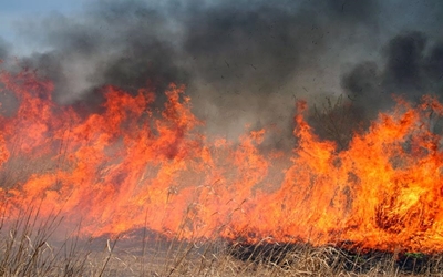High fire danger due to predicted weather
