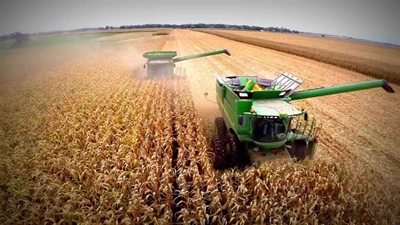 'Weather nightmare may continue for SA corn'