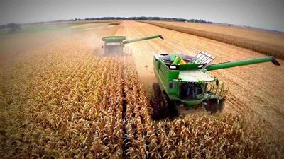 'Weather nightmare may continue for SA corn'