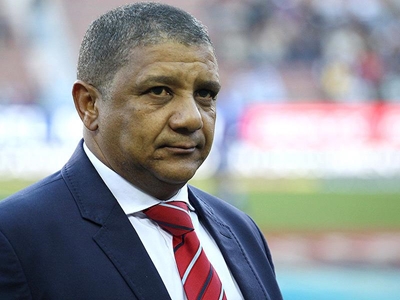 Allister Coetzee new Springbok coach