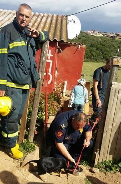 Brandweer red hondjie
