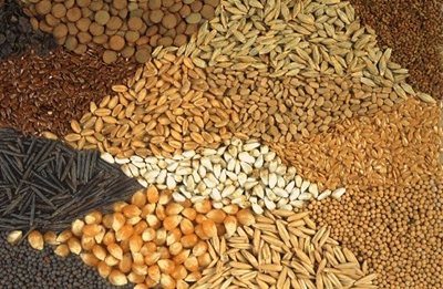 Getting seeds where it's needed
