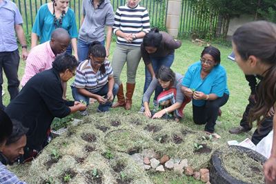 Students learn about no-dig gardening