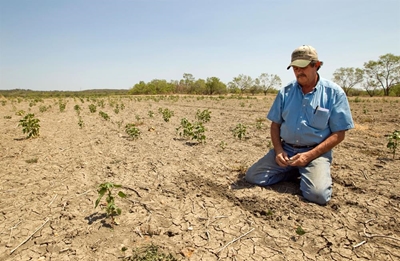Drought hits farmers, crops and food prices