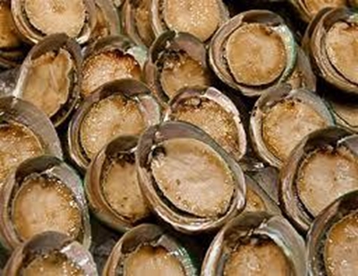 Abalone worth R9 million seized