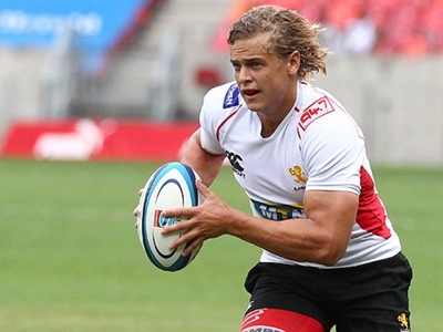 Lions lose another star to injury