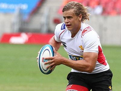 Lions lose another star to injury