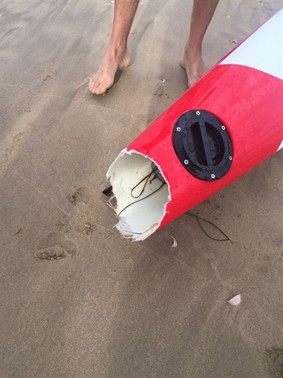 Shark warning in Plett after attack