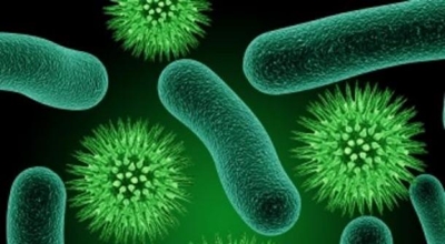 Superbugs will 'kill every 3 seconds'