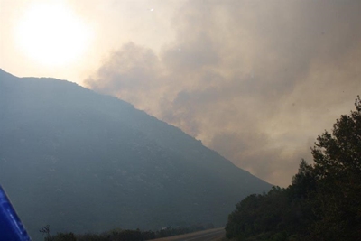 Opvolg: Veldbrand onder beheer