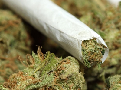 2 arrested for dagga worth R2.6 million