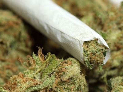 2 arrested for dagga worth R2.6 million