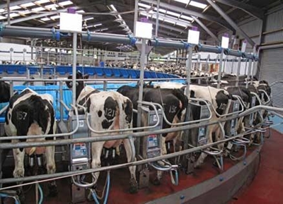 Dairy project boost for jobs