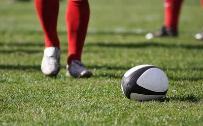 Lions can go all the way - Nollis