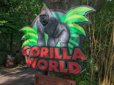 "Gorilla was not trying to harm ‘defenceless’ child"