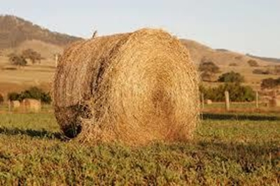KZN farmer lends helping hand with hay donation