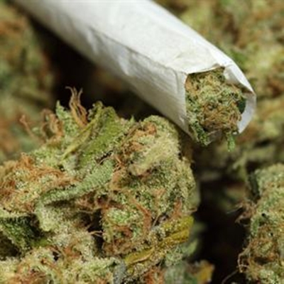 R3,8 million dagga bust