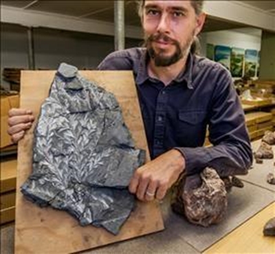 Roadworks near Grahamstown lead to discovery of fossils
