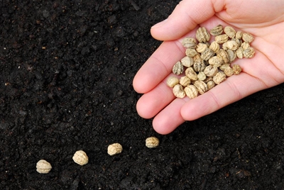 Innovative processes can curb impact of drought on agribusinesses