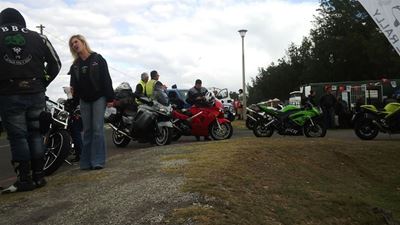 Whale Rally in full swing