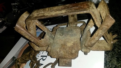 Grysbokkie uit onwettige slagyster gered