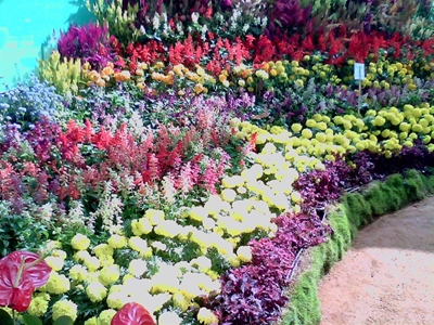 Mossel Bay Flower Show in October