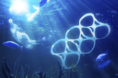 Make works of art from waste