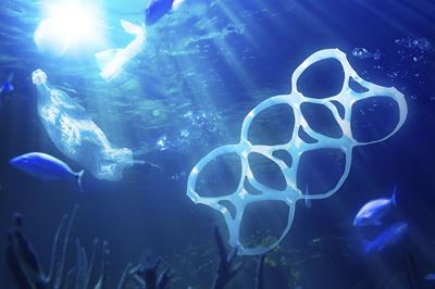 Make works of art from waste