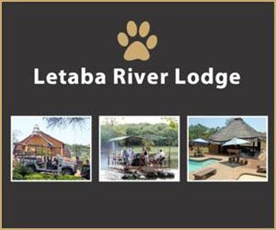 Rare white lions poached at lodge