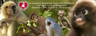 Blood drive at animal sanctuaries