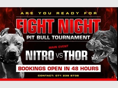 Pit bull advert illegal