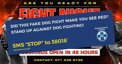Dog fighting: NSPCA responsible for advert