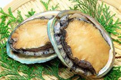 Suspected abalone syndicate busted
