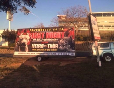 NSPCA’s dog fight campaign: What you need to know