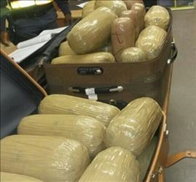 Dagga bust in Grahamstown on first day of Arts Festival