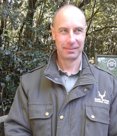 Navigating SA’s largest individual forests