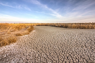 Western Cape farmers will take years to recover from drought