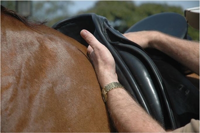 Fitting a saddle