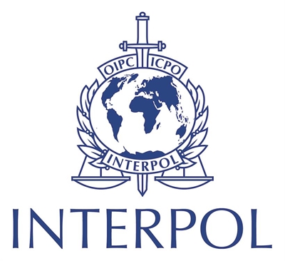 Interpol: Thousands arrested in global football gambling raids