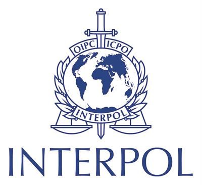 Interpol: Thousands arrested in global football gambling raids